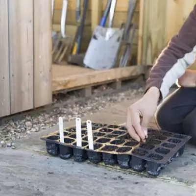 Expert Urges Gardeners to Plant These 5 Seeds in April for Summer Success