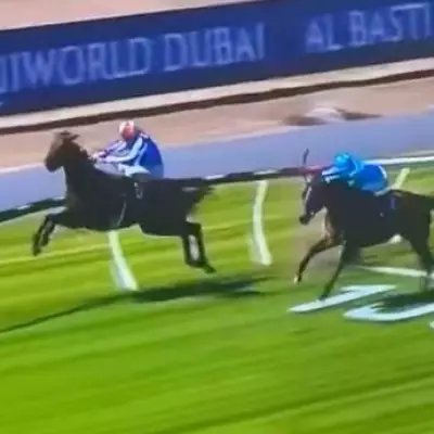 Favourite Alabama Lass Crashes Through Rail in Dramatic New Zealand Race