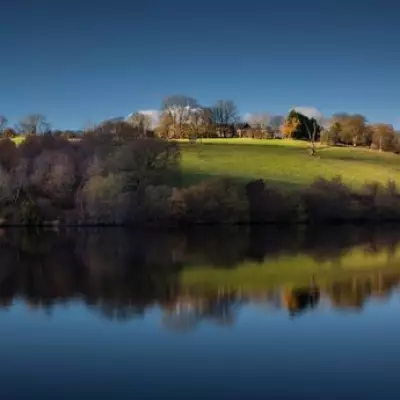 Five Traffic-Free Dog Walking Gems in South Wales Revealed by Local Expert