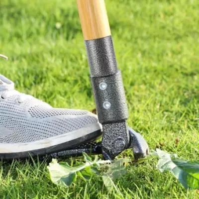 Gardeners Praise £25 Weed Puller as 'Life-Saver' for Stubborn Dandelions