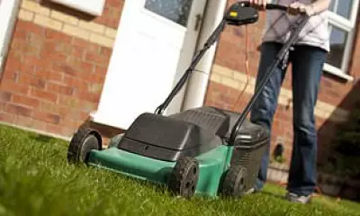 Gardening Expert Warns: Three Vital Checks Before Mowing Your Lawn