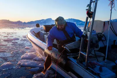 Greenland's Fishermen Face Unpredictable Seas as Climate Change Intensifies