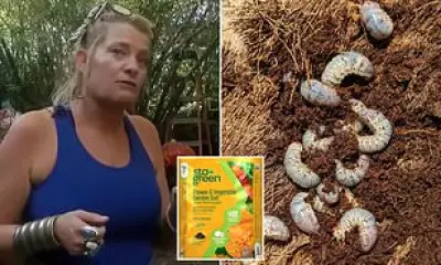 Hawaii Shopper's Horror Find: Beetle Larvae Infest Discounted Soil Bags at Lowe's