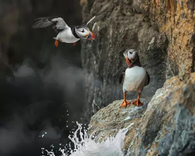 Inside Britain's National Parks Review: A Heartfelt Ode to Contentment