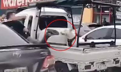 Man Charged After Allegedly Kicking Dog in Bunnings Car Park Attack