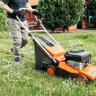 Monty Don's March Lawn Care Secret for Thicker, Healthier Grass