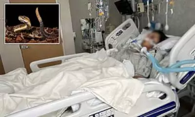 Mountain Biker Dies After Rattlesnake Bite on California Trail