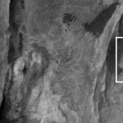 NASA Mars Photo Sparks Debate Over 'Giza-Sized Pyramid' Discovery