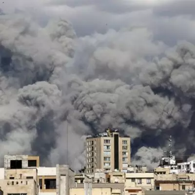 NATO Expert Warns World 'One Accident' Away from Third World War