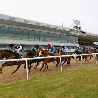 Newsboy's ITV4 Racing Tips: Grant Wood Aims for Hat-Trick at Wolverhampton