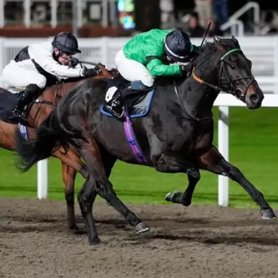 Newsboy's Thursday Racing Tips: In Denial and Enter Sandman Lead Selections