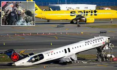 NTSB Probes Missing Transponder in LaGuardia Crash, Shifts Blame from Controller