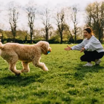 Pet Expert Warns: Clocks Changing Can Disrupt Animal Routines and Health