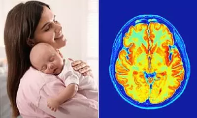 Pregnancy Triggers Brain 'Rewiring' for Parenthood, Not Just 'Baby Brain'
