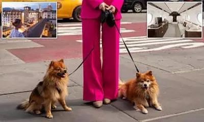 Private Bankers Now Manage Dogs, Jets and Vacations for Ultra-Wealthy