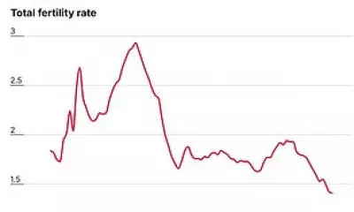 Report Blames 'Missing Babies' on Men's Delayed Maturity and Societal Shifts