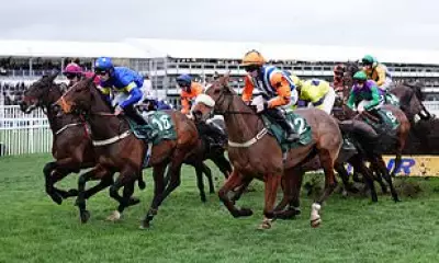 Ryanair's Michael O'Leary Buys Record Horse Amid Cheltenham Drama