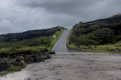 Severe US Storm System Unleashes Blizzards, Tornado Threat, and Widespread Disruption