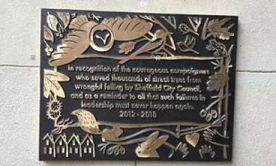 Sheffield Council Accused of Hypocrisy Over Greenbelt Housing Plans