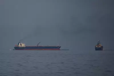 Ships Declare Chinese Links in Hormuz Strait to Evade Iran War Attacks