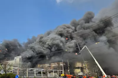 South Korean Officials Probe Deadly Factory Fire That Killed 14 Workers