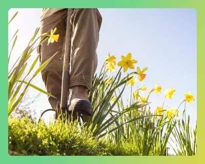 Spring Garden Refresh: Expert Tips for Planting and Tidying Your Outdoor Space