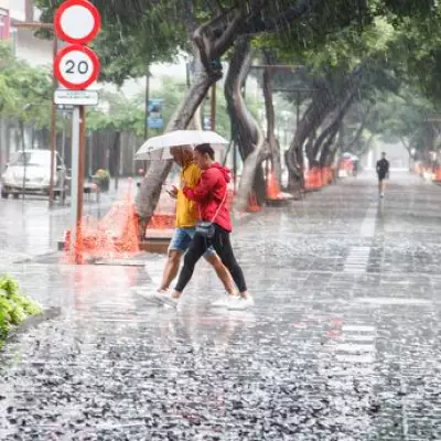 Storm Therese Triggers Emergency Weather Alerts Across Canary Islands
