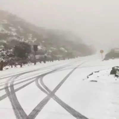 Tenerife Blanketed by Snow as Storm Therese Triggers Travel Chaos and Flight Cancellations
