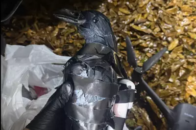 Texas Women Arrested for Using Decoy Crow Drones in Prison Smuggling Operation