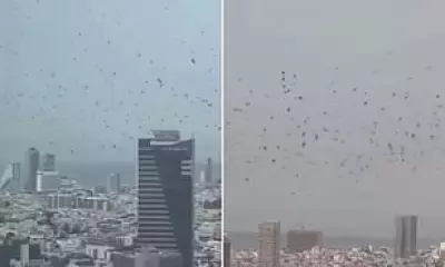 Thousands of Crows Swarm Tel Aviv Skyline, Sparking Omen Fears Amid Regional Tensions