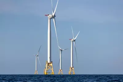 Trump Administration to Pay $1 Billion to Cancel Offshore Wind Farm Projects