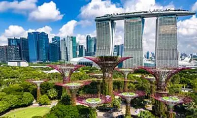 TUI Launches Singapore City Breaks for Food Festival, Plus Bratislava Deals