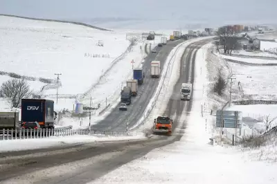 UK Braces for Gale-Force Winds and Snow as Temperatures Plummet