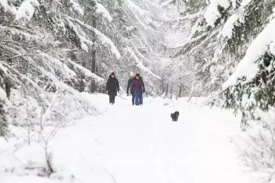 UK Braces for Snow Showers and Gale Force Winds as Met Office Issues Warnings
