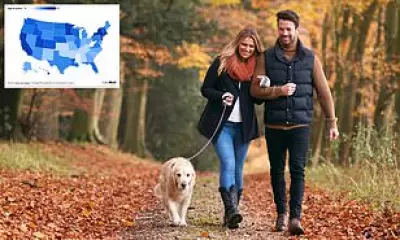 Walking Speed Emerges as Key Predictor of Mortality, Outperforming Traditional Health Metrics