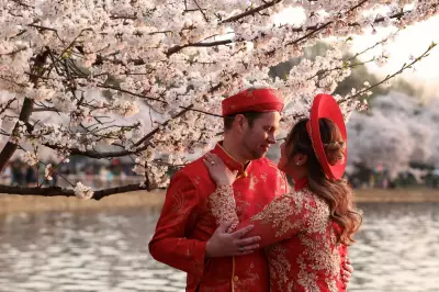 Washington DC Cherry Blossoms Reach Peak Bloom as 'Magic Number' Achieved