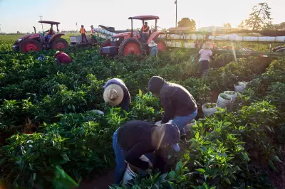 Women Farmworker Advocates Break Silence on Sexual Assault Amid Chavez Allegations