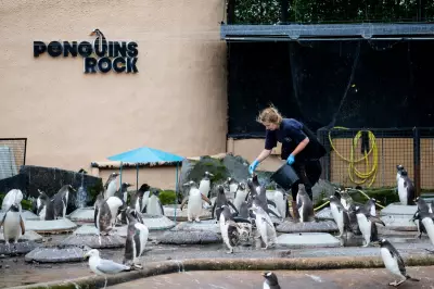 Zoos Demand Weather App Overhaul Over 'Misleading' Forecasts Costing £40k Daily