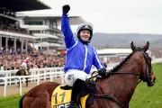 A Guide to Cheltenham Festival Horseracing Jargon and Handicap Races