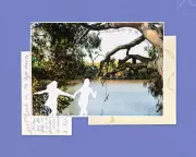 A Waterhole's Timeless Embrace: 30 Years of Friendship and Healing in New South Wales