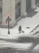 Adela Ramirez Captures Best Phone Picture of Dog in New York Snow