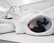 Adrian Searle's 30-Year Art Odyssey: From Vermeer to Venice