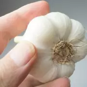 AI Chatbots Prescribe Dangerous Medical Advice Including Rectal Garlic Insertion