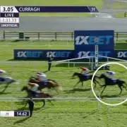 Aidan O'Brien's Albert Einstein Guineas Hopes Dashed After Curragh Defeat