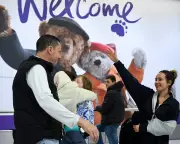 Airlines Groundings Expose Air Travel's Reliance on Gulf Corridor