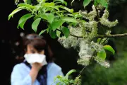 Allergy Season Arrives Early Across US with Pollen Already Triggering Symptoms