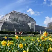 American in London Warns: 'Don't Be Fooled' by Spring Sun in UK