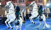 Andrea Bocelli's Equestrian Entrance at Sanremo Festival Amid Legal Dispute