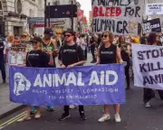 Animal Aid Launches Legal Challenge Over 'Chilling' Protest Law Change