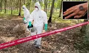 Anthrax Bacteria Lurk in US Soil, Scientists Warn of Hidden Threat